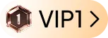 vipLevel