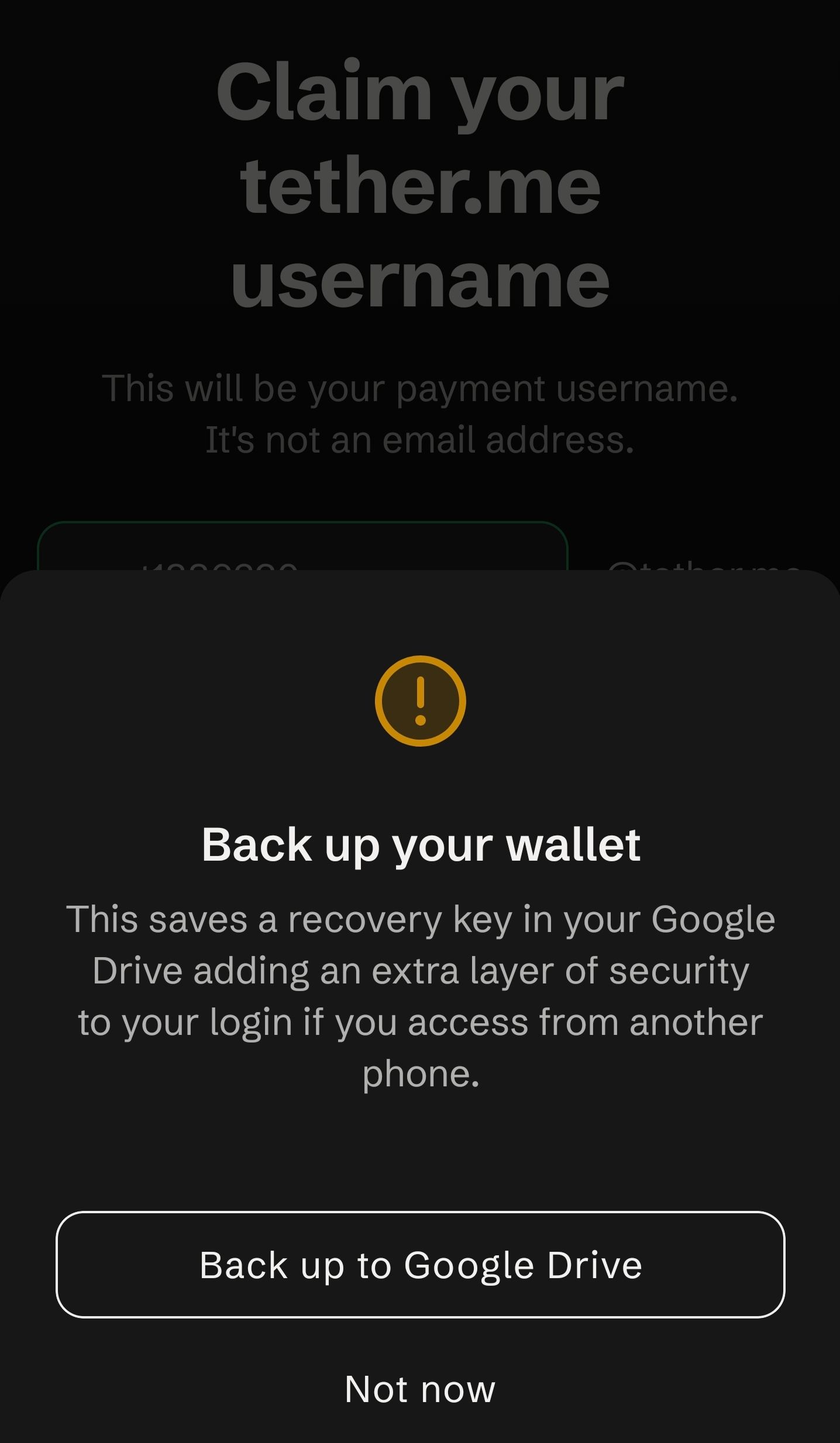 Tether Wallet register 3.jpg